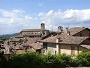 Montone
