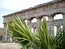 Parco archeologico di Segesta