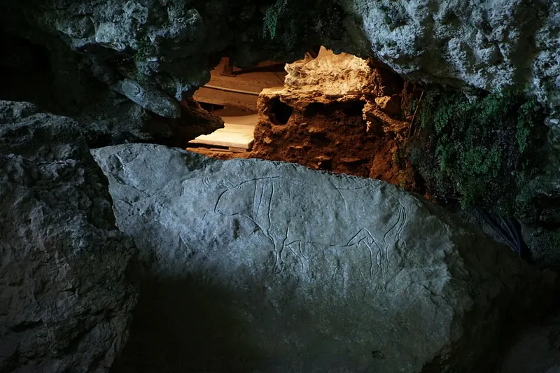 Grotta del Romito, Papasidero