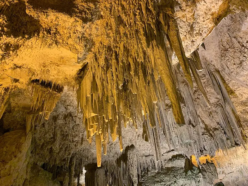 Grotte di Nettuno, Alghero