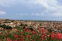 Orosei