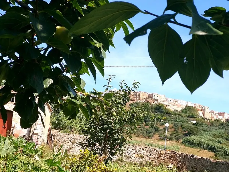 Irsina, Bradano