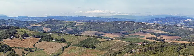 Bertinoro, Colline romagnole