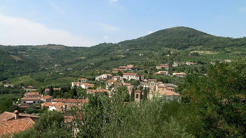 Arquà Petrarca, Colli Euganei