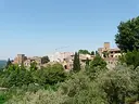 Certaldo Alto