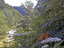 Parco del Monte Cucco, Costacciaro