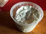 Reblec