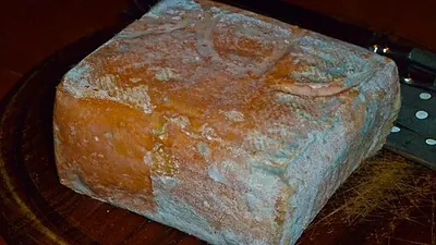 Taleggio DOP