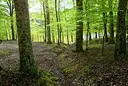 Parco nazionale del Gargano