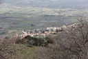 Foresta di Anela