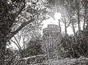 Torre di Marina di Campo, Campo nell'Elba