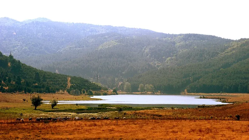 Lago Ariamacina, Casali del Manco