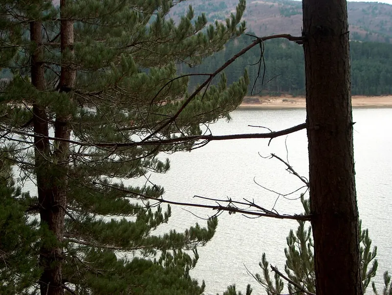 Lago Cecita, Spezzano della Sila