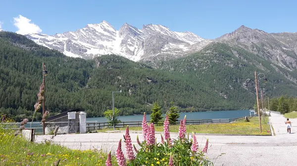 Lago di Ceresole Reale e diga