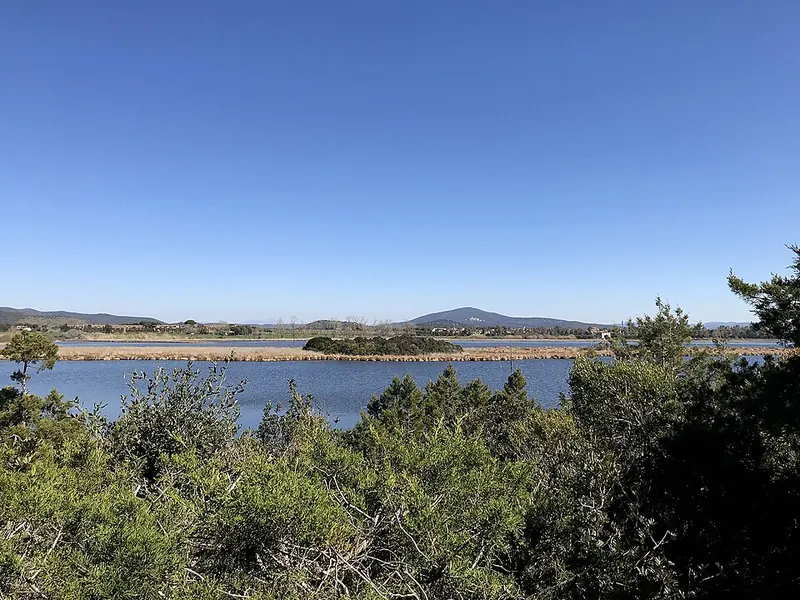 Il lago di Burano a Capalbio
