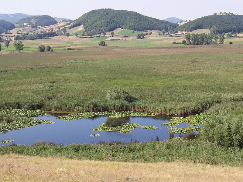 Palude di Colfiorito, Foligno
