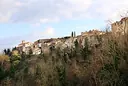 Scansano