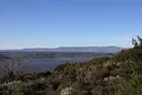 Marghine