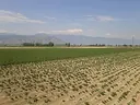 Avezzano e la piana del Fucino