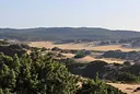 Dune di Piscinas, Arbus