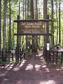 Orto Botanico Forestale dell'Abetone