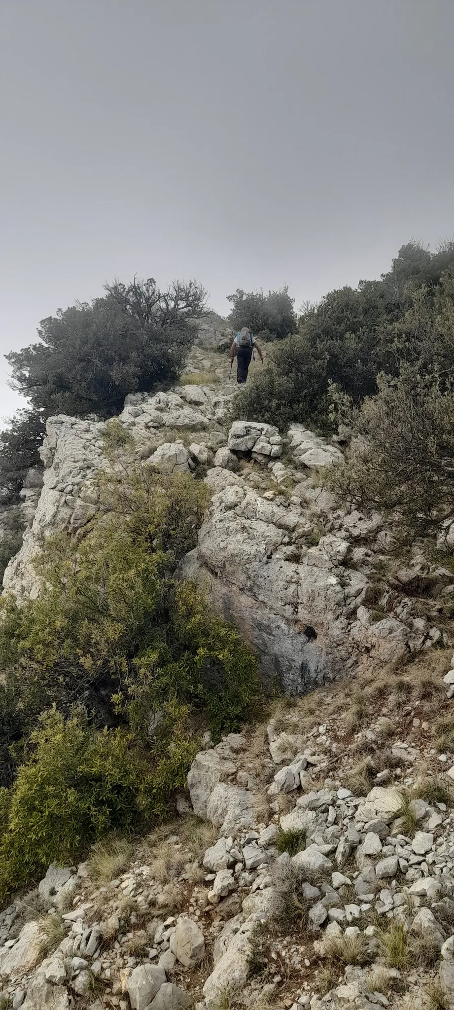 Timpa di San Lorenzo nel Parco del Pollino