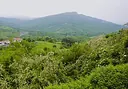 Riserva Naturale Pigelleto