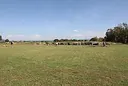Necropoli di Anghelu Ruju