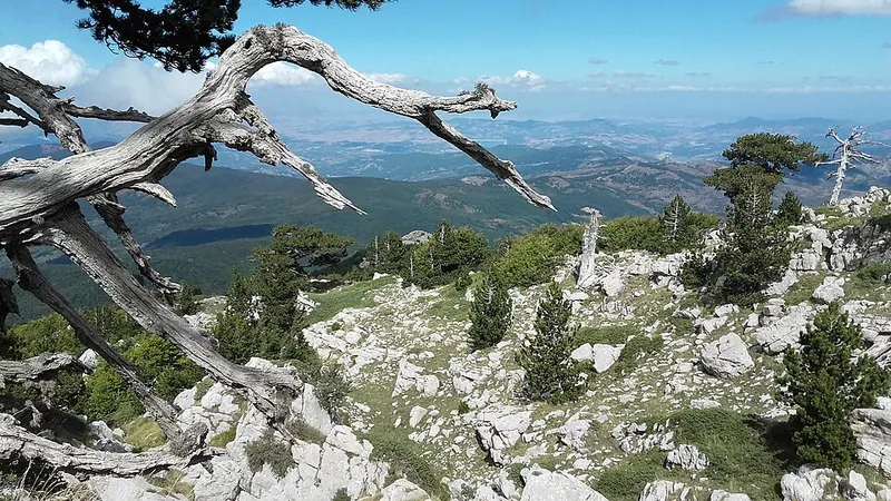 Parco nazionale del Pollino, Rotonda