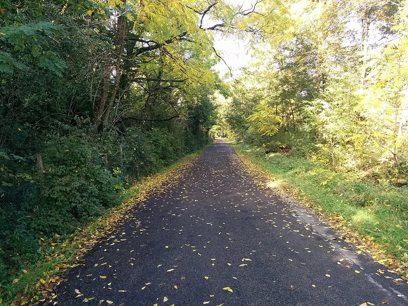 Strada nei Boschi di Carrega, tra Collecchio e Sala Baganza