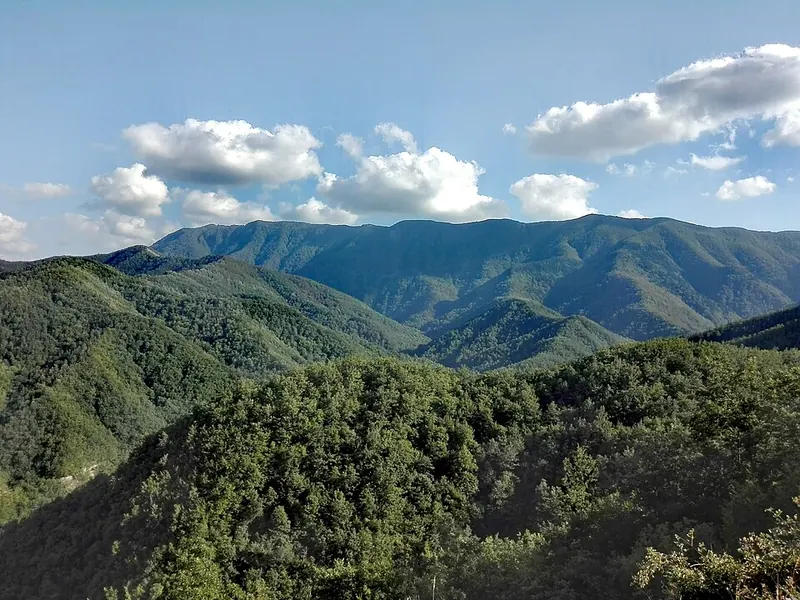 La foresta di Sasso Fratino nel Parco nazionale delle Foreste Casentinesi