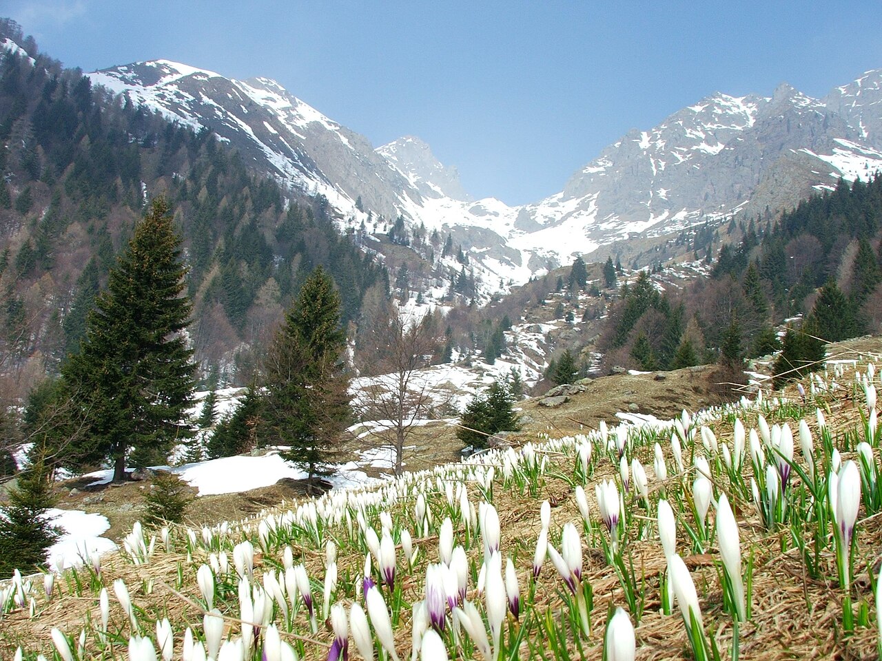 Valle dell'Inferno, Parco delle Orobie Bergamasche
