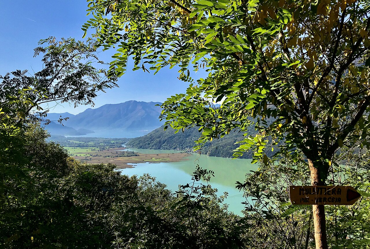 Veduta del Pian di Spagna e Lago di Mezzola