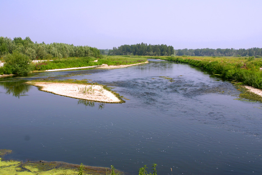Parco Lombardo della Valle del Ticino presso Vigevano