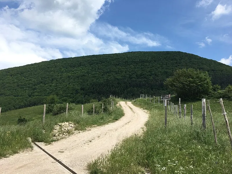 Riserva naturale statale Gola del Furlo, Acqualagna