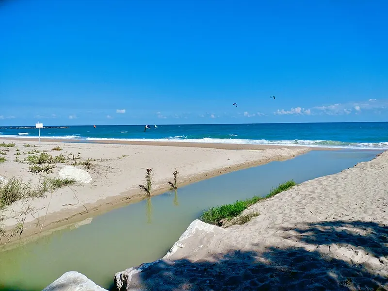 Riserva naturale regionale Sentina, San Benedetto del Tronto