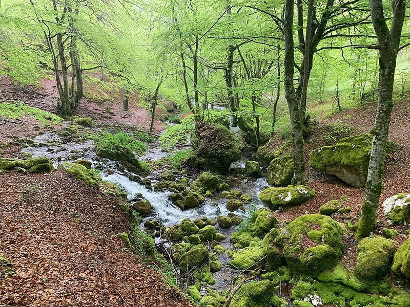 Parco nazionale d'Abruzzo, Lazio e Molise, Pizzone