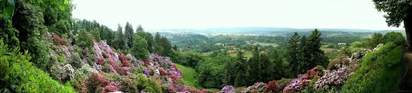 Panorama del Parco Burcina
