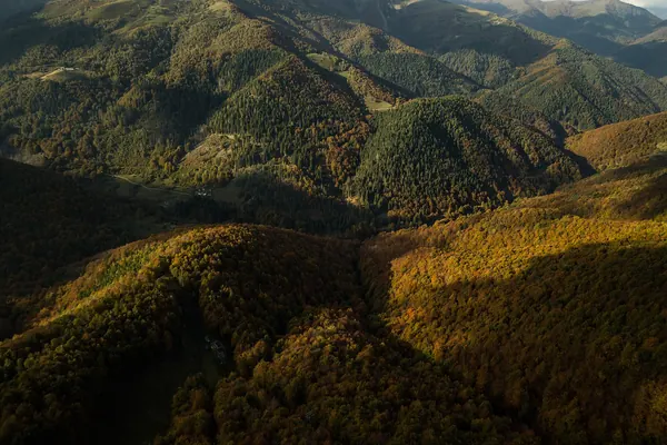 Foliage autunnale a Oasi Zegna