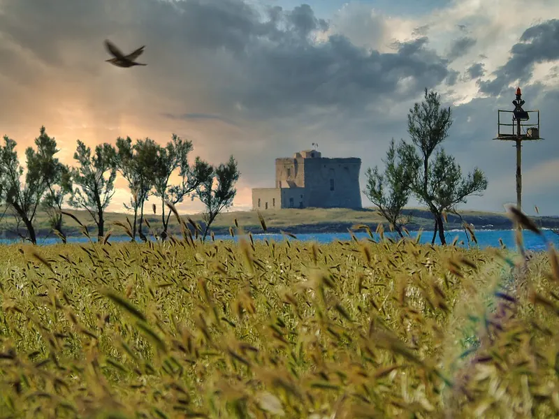 Riserva naturale statale Torre Guaceto, Carovigno