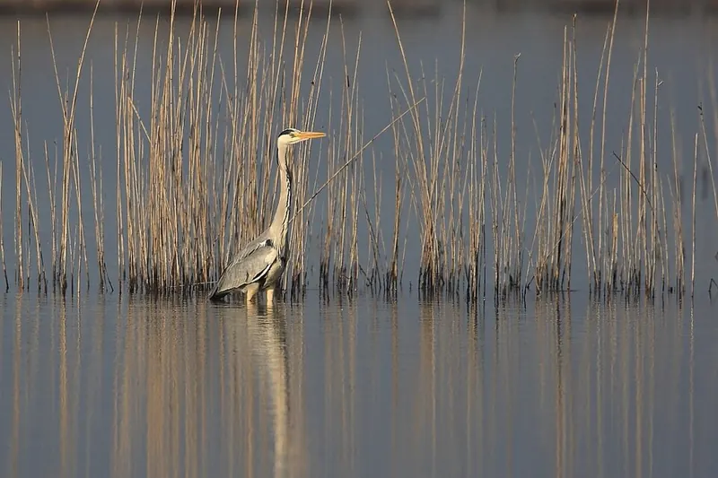 Parco naturale regionale Litorale di Ugento, Ugento