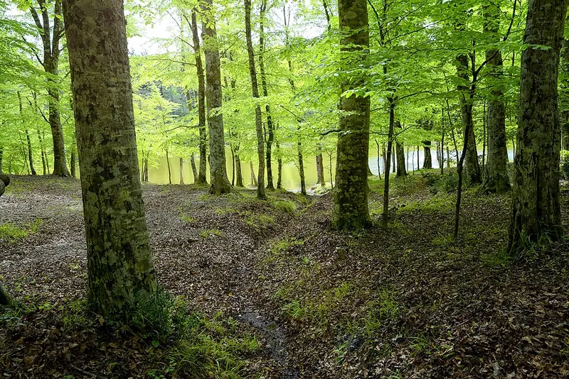 Parco nazionale del Gargano, Monte Sant'Angelo