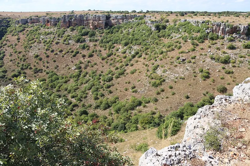 Parco nazionale dell'Alta Murgia, Altamura