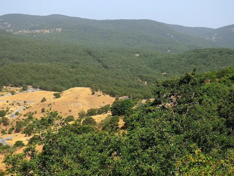 Parco dei Nebrodi, Cesarò