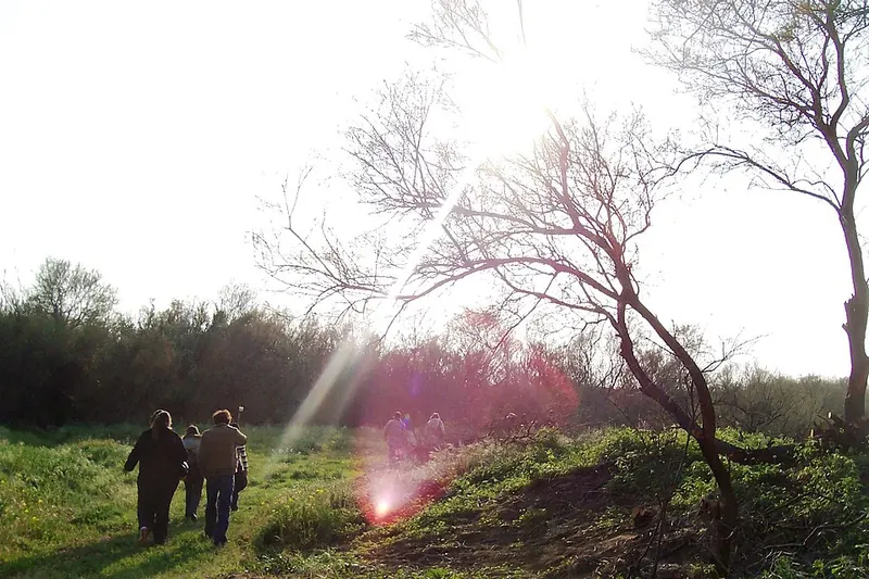 Riserva del Biviere di Gela, Gela