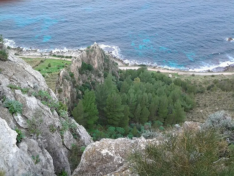 Riserva di Capo Gallo, Palermo