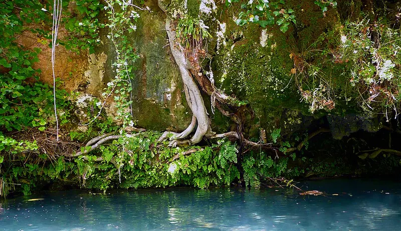 Riserva di Pantalica e Valle dell'Anapo, Sortino