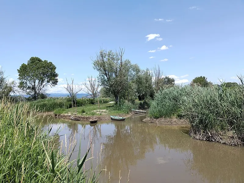Il Padule di Fucecchio