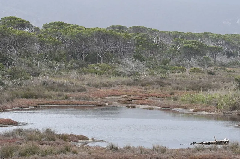 Veduta del Parco naturale della Maremma