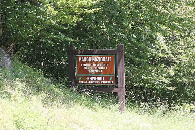Foreste del Parco nazionale delle Foreste Casentinesi